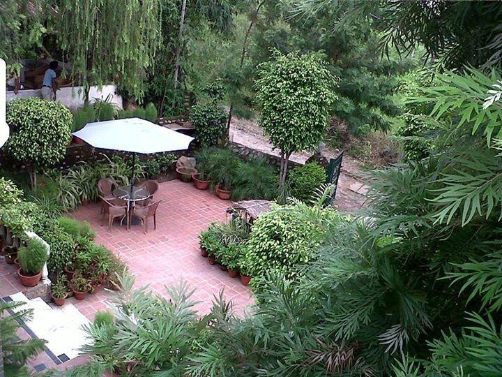 Siswan Jungle Lodge Baddi Extérieur photo